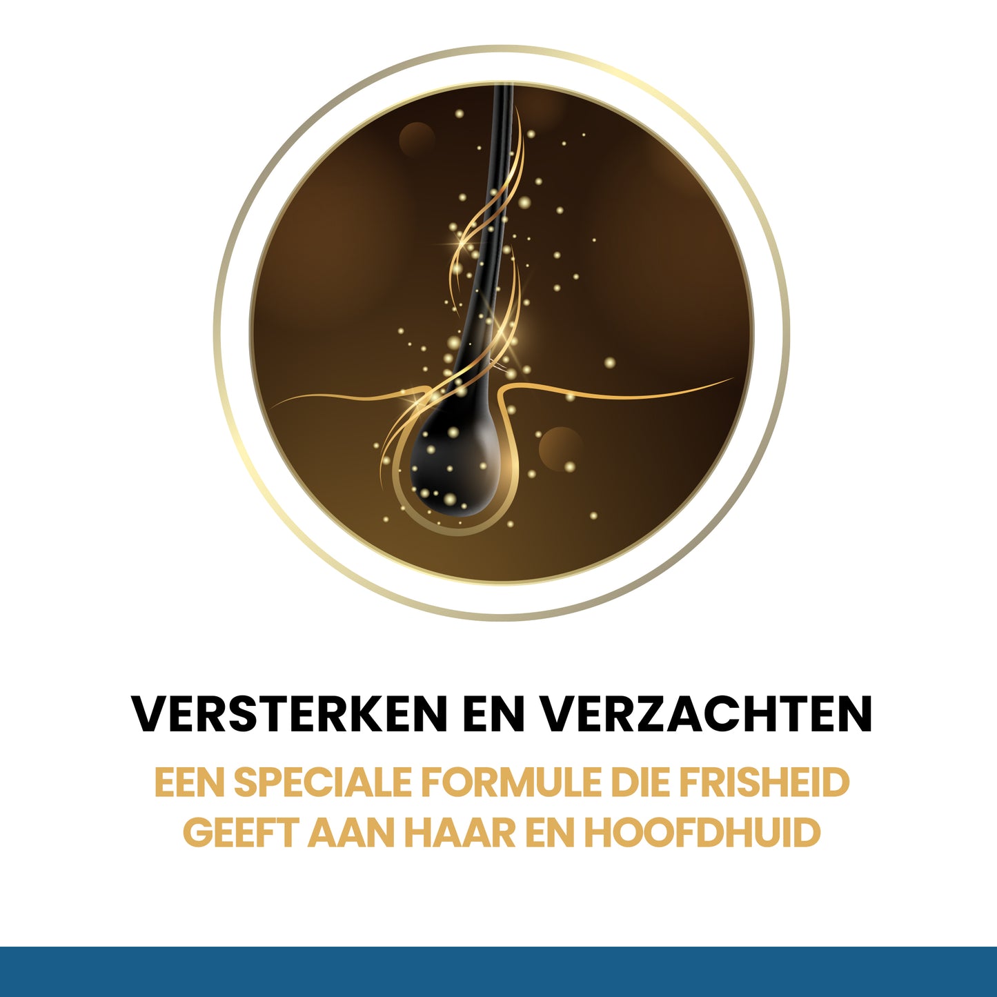 Anti-Grease Shampoo 500 ml 